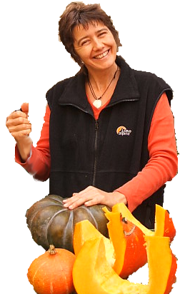 Mutti dans les courges